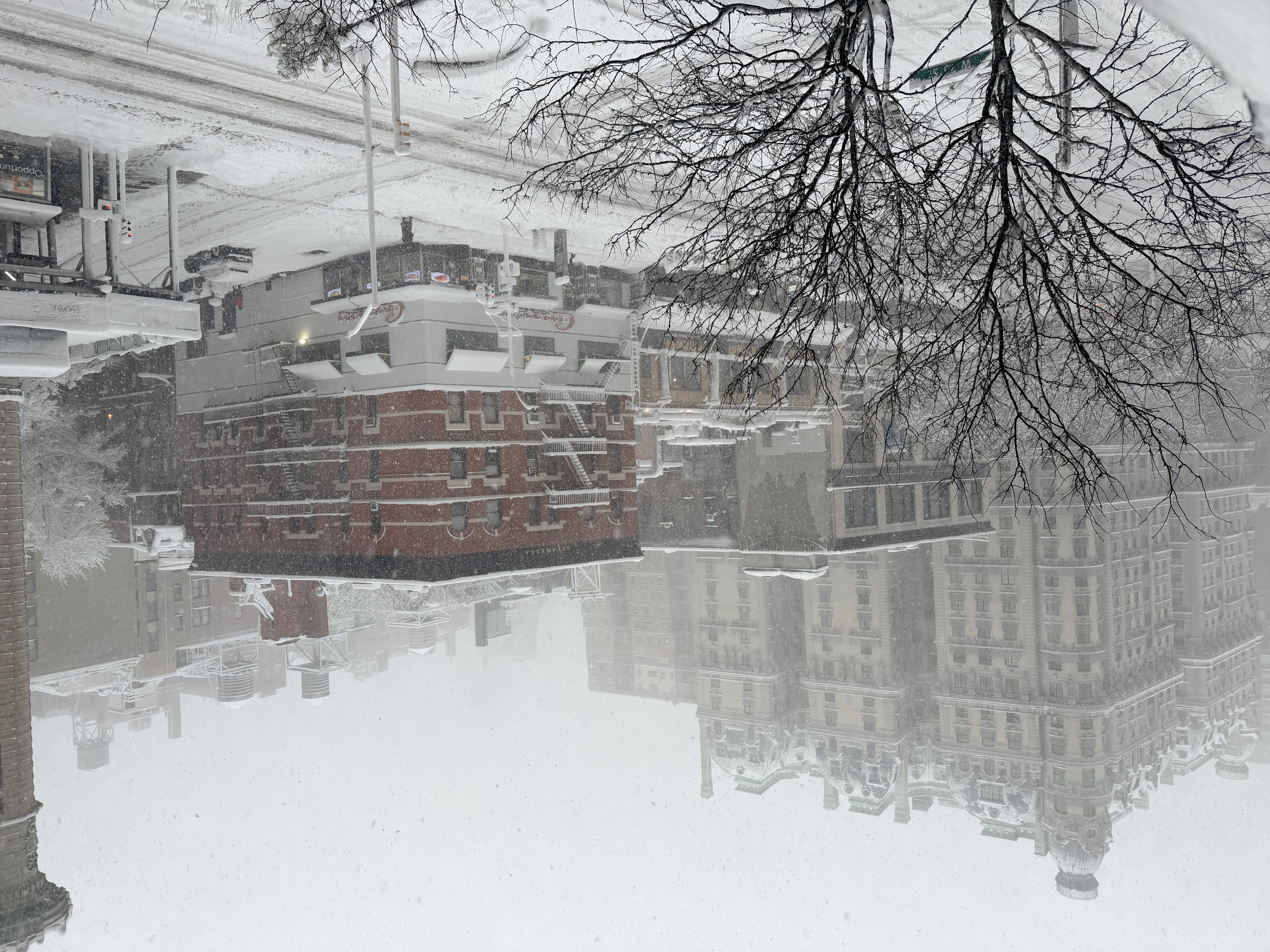 Feb 2026 Blizzard